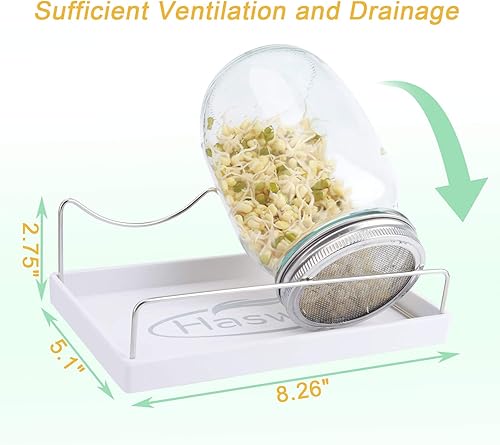 Miniatura 4 de Haswe Kit de tarro de germinación de semillas (tarros no incluidos) 4 tapas de brotes de pantalla de acero inoxidable, 1 bandeja de melamina,