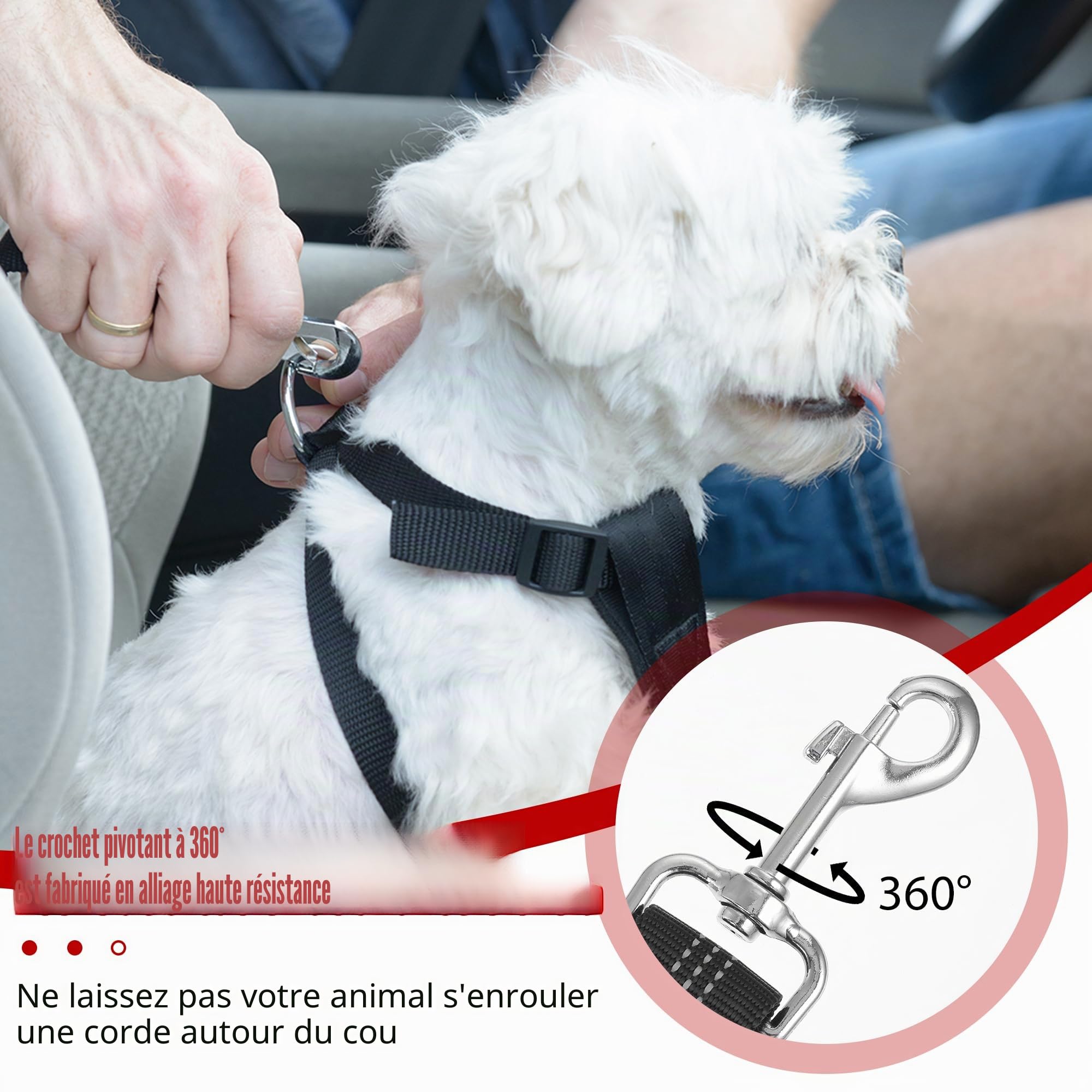 Ceinture Chien Voiture, Universel Harnais Voiture Réglable pour Chien & Chat avec Absorption des Chocs,Harnais Voiture pour Chiens,Ceinture de Sécurité pour Chien