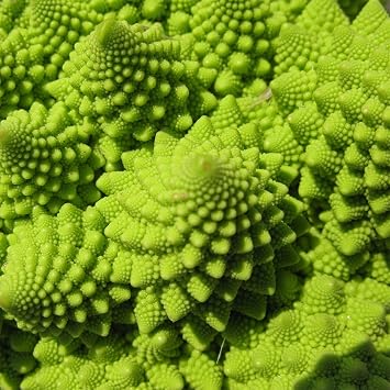 Broccoli Romanesco 50 Seeds per Packet - Rare & Unique