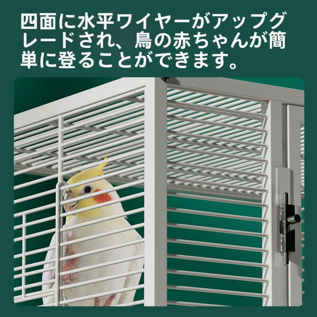 文鳥 インコ 防音ケージ 鳥かご 防音 ケージのおすすめ人気商品一覧 