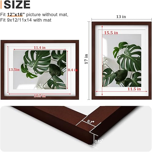 Vista 739 de Egofine Portarretratos de 9 x 12 pulgadas hecho de madera maciza con plexiglás, fotos de 5 x 7/6 x 8 con paspartú o de 9 x 12 pulgadas sin paspartú