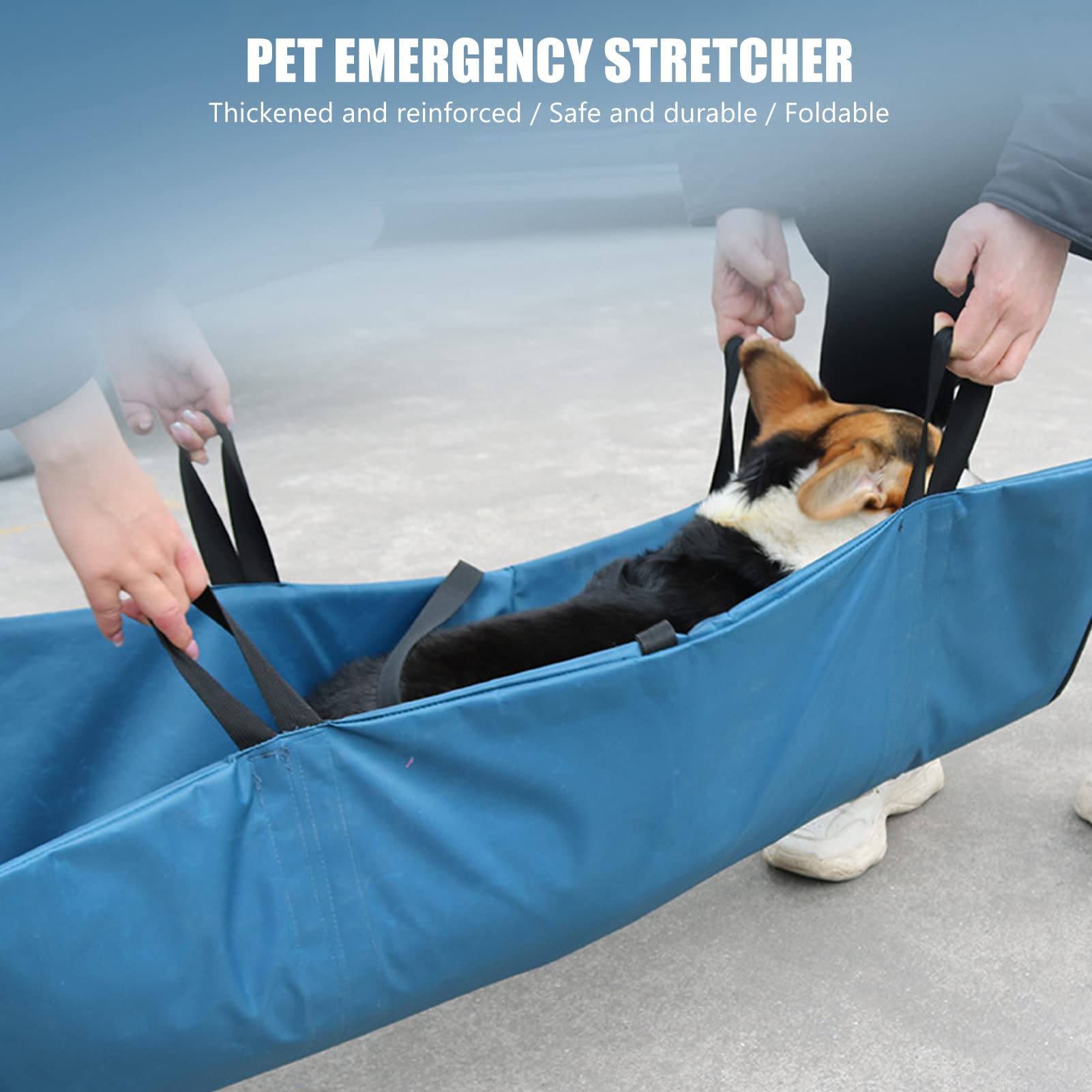 Qcwwy Barella Portatile per Cani, Barella Pieghevole con 4 Maniglie e Cintura di Sicurezza Trasportino per Cani Lesioni Articolari Artrite Movimento Sollevamento o Trasferimento Barella