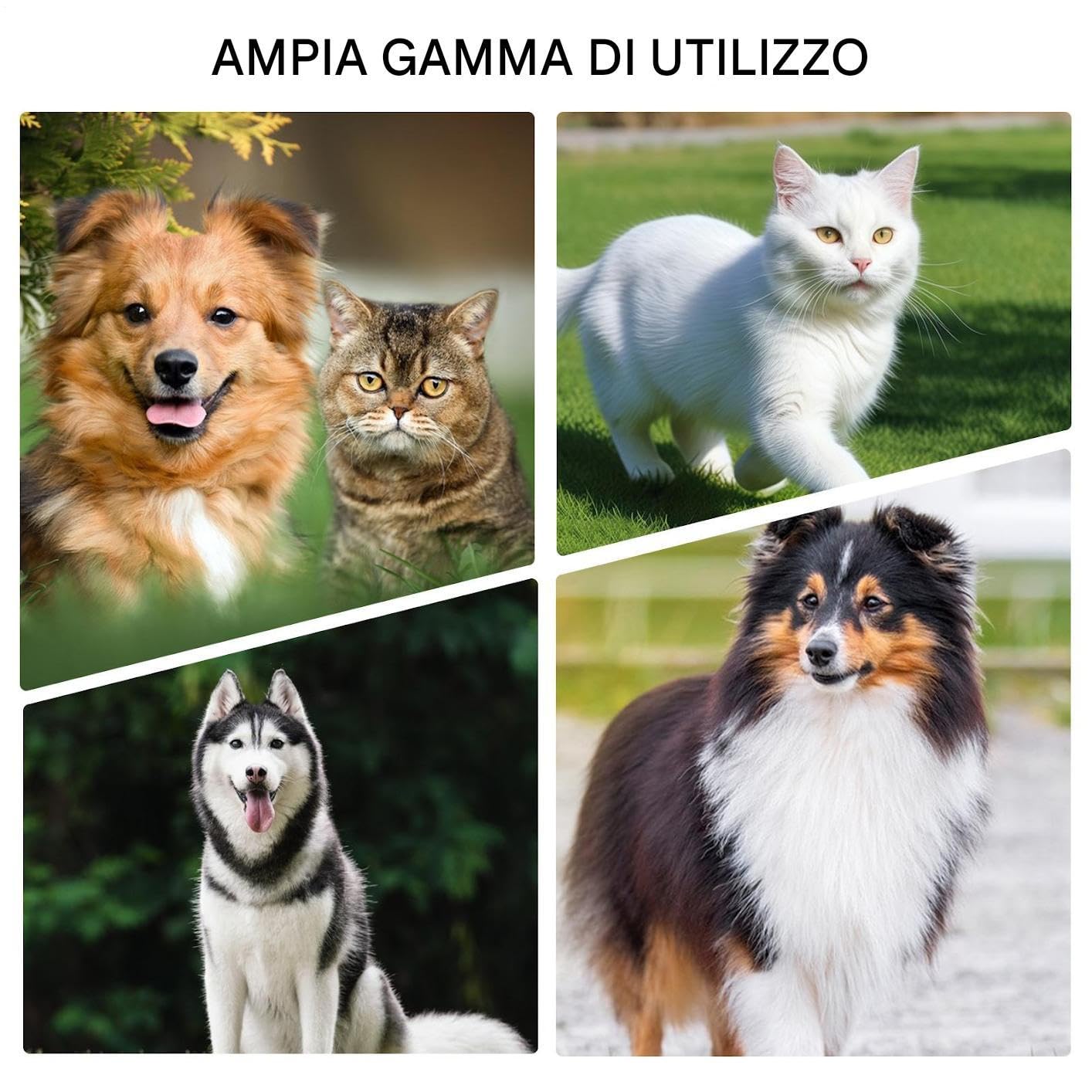 Occhiali Per Cani Protezione UV, Antipolvere, Occhiali Per Animali, | Occhiali Da Sole Antivento Per Cuccioli Cinturino Regolabile per Spiaggia Moto Escursioni Passeggiata Gat