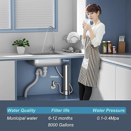 Miniatura 6 de ALTHY U200pro - Sistema de filtro de agua de acero inoxidable para debajo del fregadero de 0,01 m para reducción de baçtria, reduce plomo, cloro,