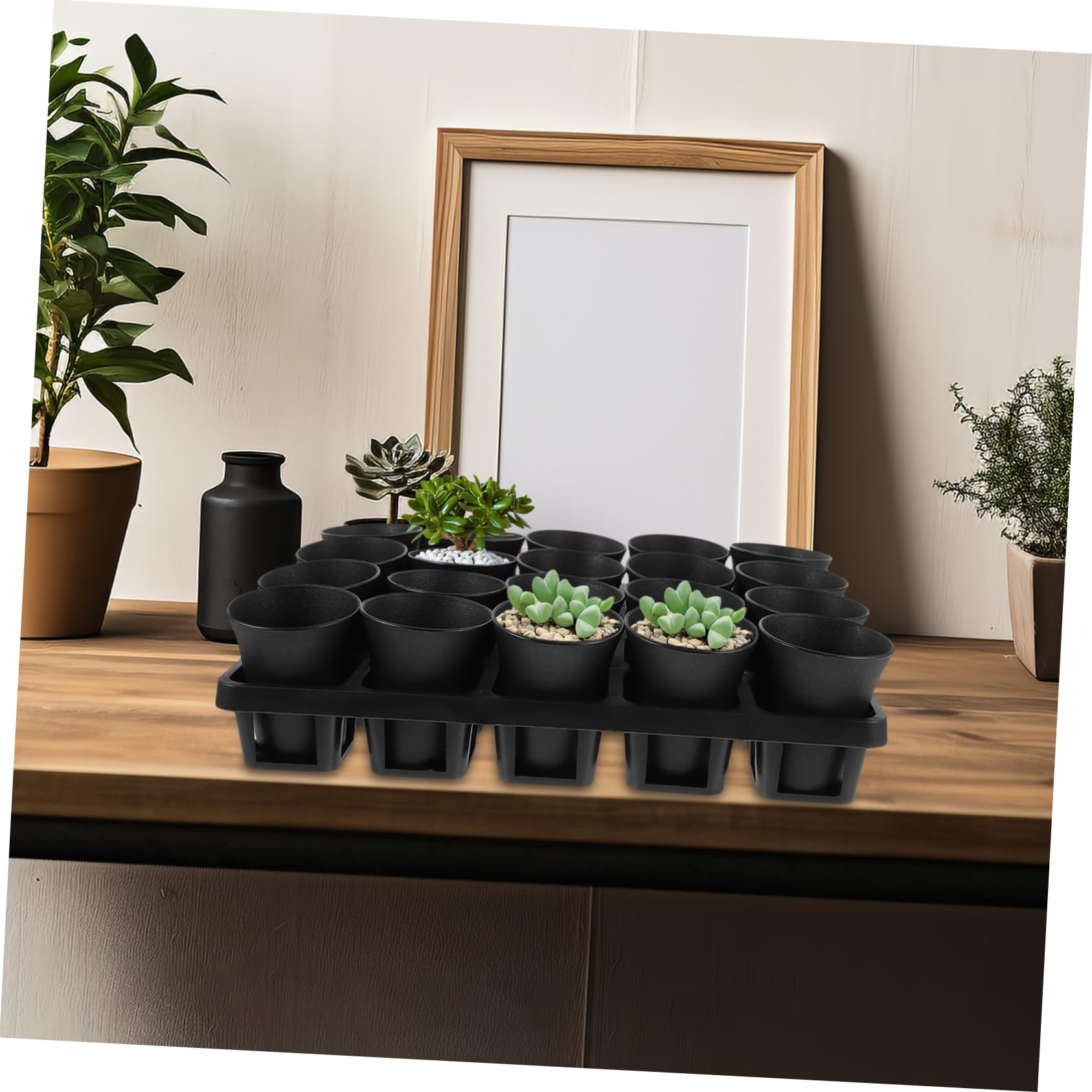 Amazon.co.jp: MOBUTOFU 多肉植物プランター 花植え箱 20穴 プラ製