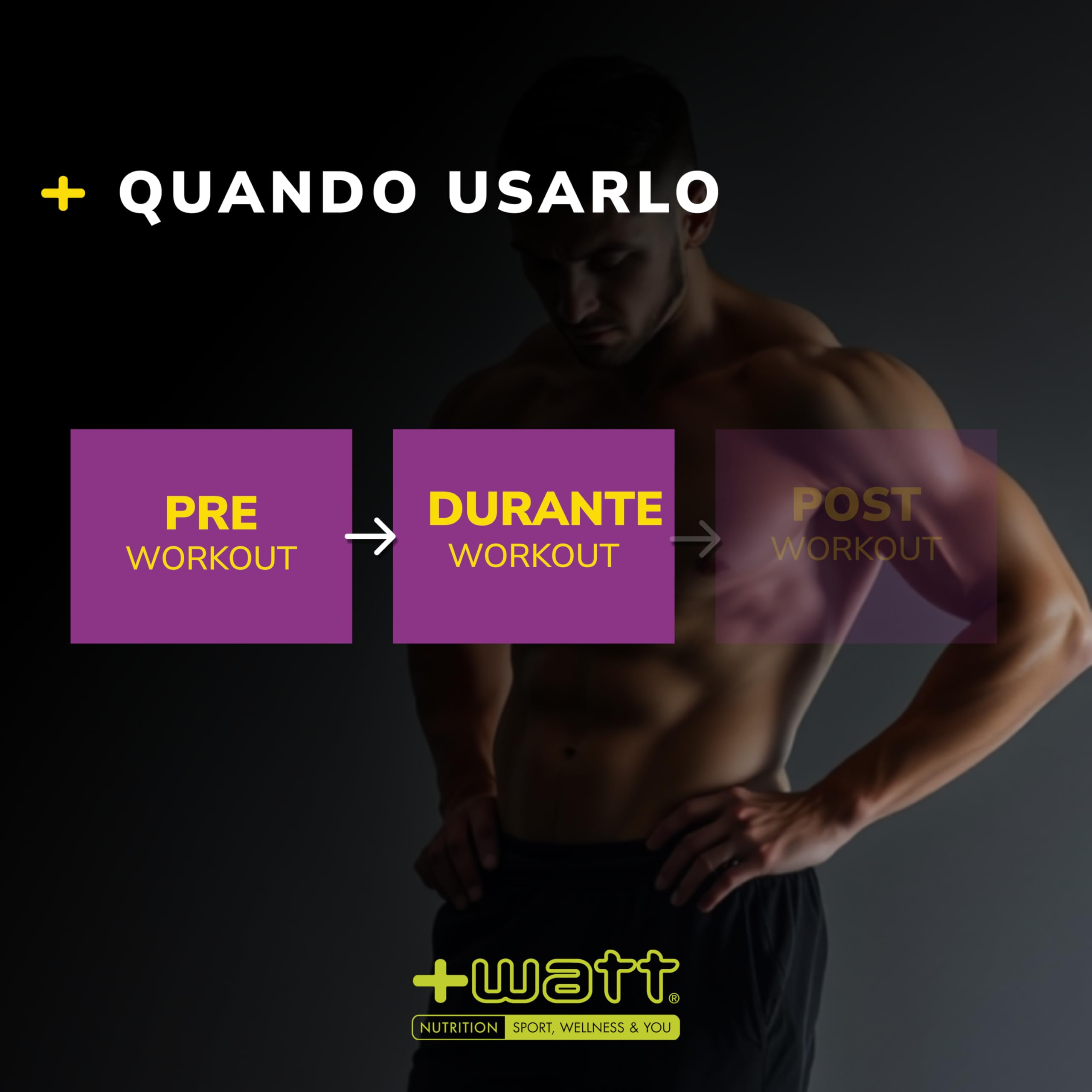 Natural Mix - barretta energetica ad alto contenuto di acidi essenziali a base di frutta secca - Ideale prima e durante gli sforzi prolungati - 24 barrette datteri