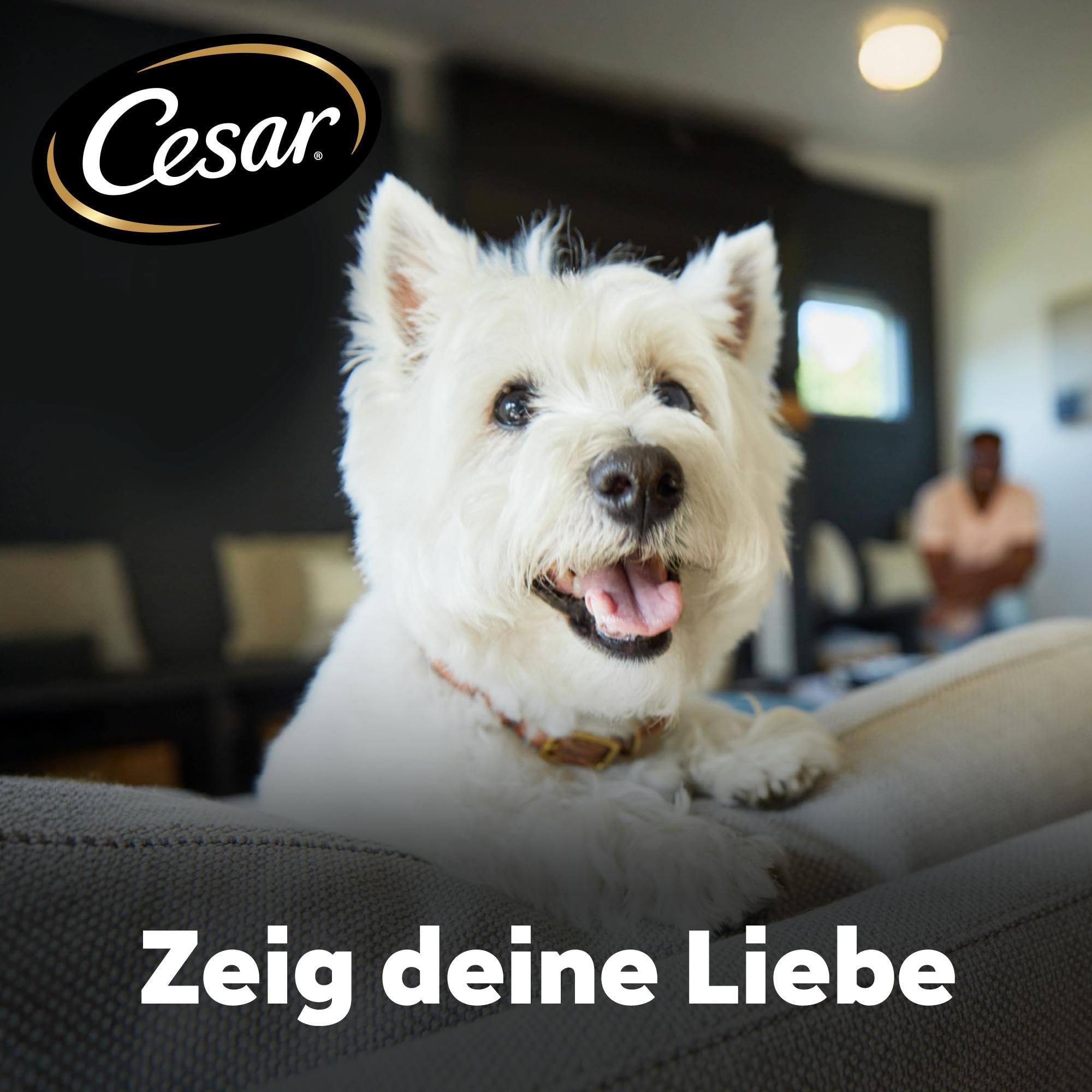 Cesar 5 x 1.4 kg Adult Hundetrockenfutter mit frischem Huhn, Lachs & Gemüse
