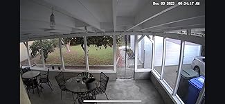 Review Image by Kurt Kurt