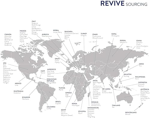 Miniatura 3 de Aceite esencial de clavo de olor de Revive Essential Oils  100% puro grado terapéutico, para difusor, humidificador, masaje, aromaterapia, cuidado