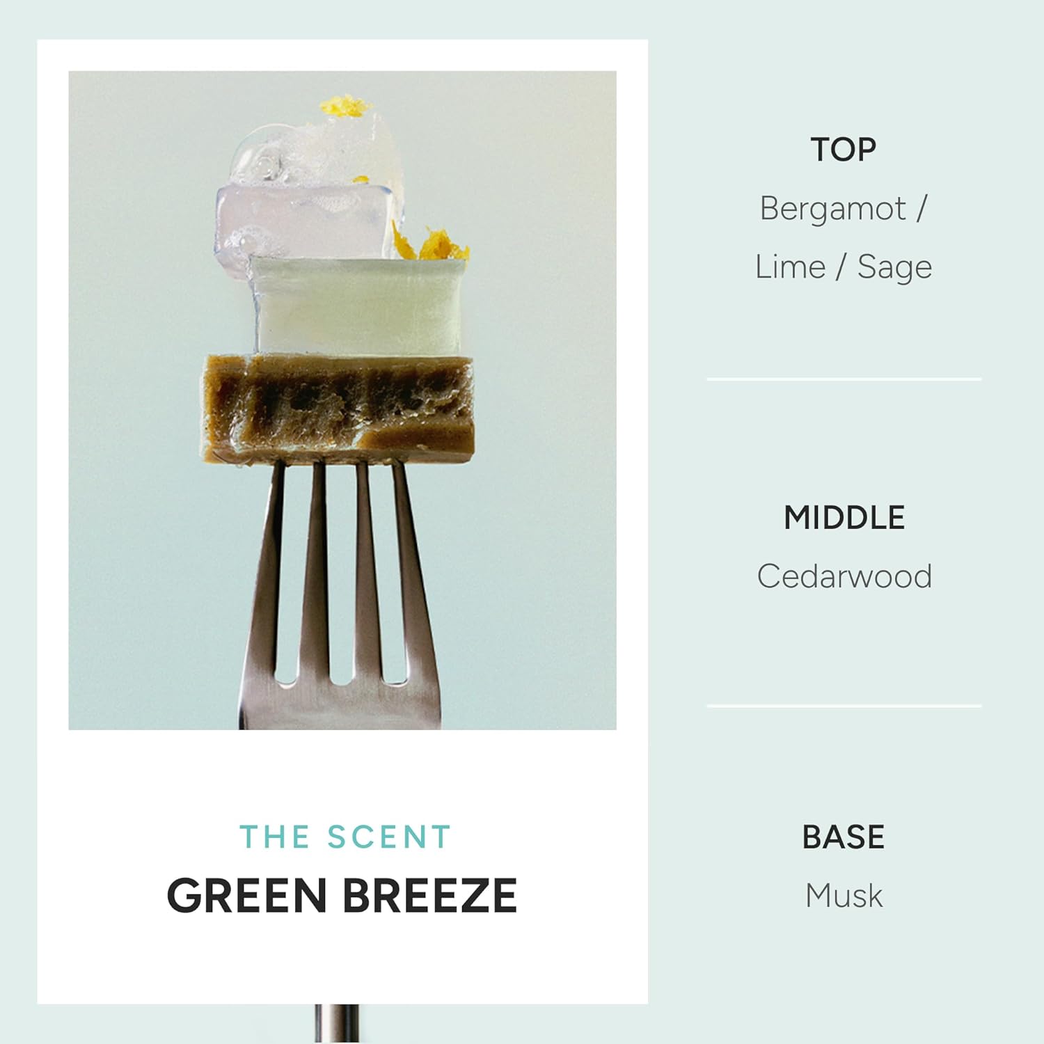 Purifying Scalp Shampoo & Conditioner Set – Deep Cleanse + Lightweight Nourishment for Oily, Sensitive Scalp – Herbal Extracts, Menthol, Biotin, Niacinamide – pH 5.5 – Korean Hair