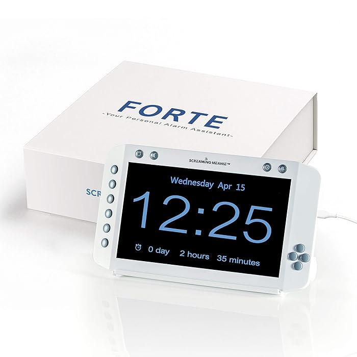 Buy Screaming Meanie Forte Alarm Clock Extra Large 9” Display, 6