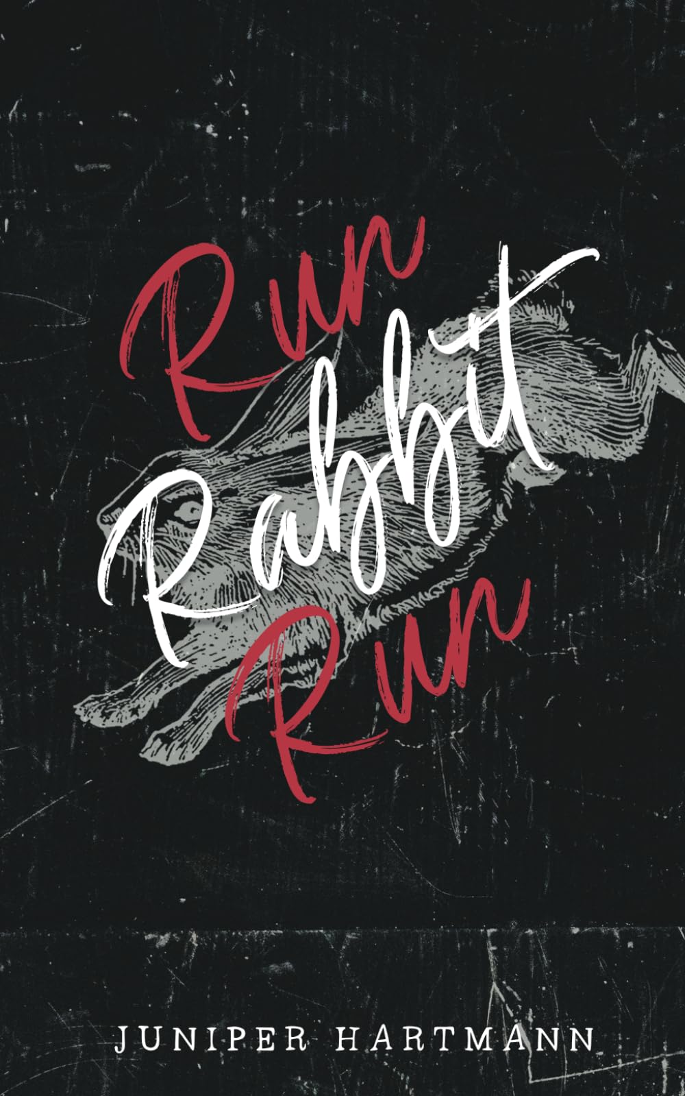 Run, Rabbit, Run (Bunny Tales)