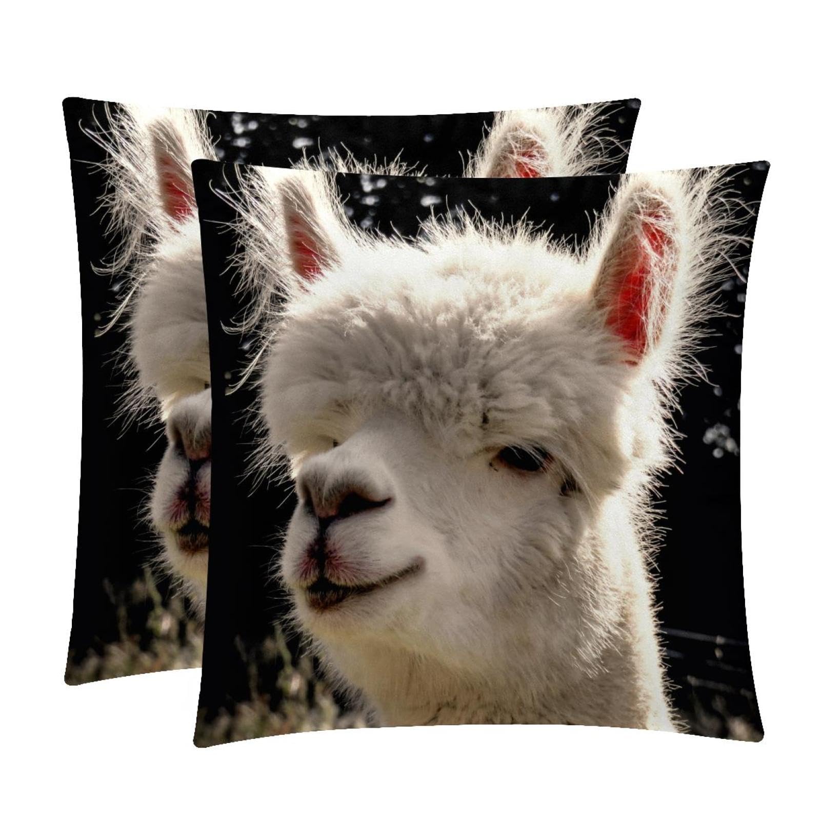 TDGKPZ Alpaca Cute Throw Pillow Cases 2 Pack Pillowcases Zipper Cushion Covers For Bedroom Living Room 50x50cm