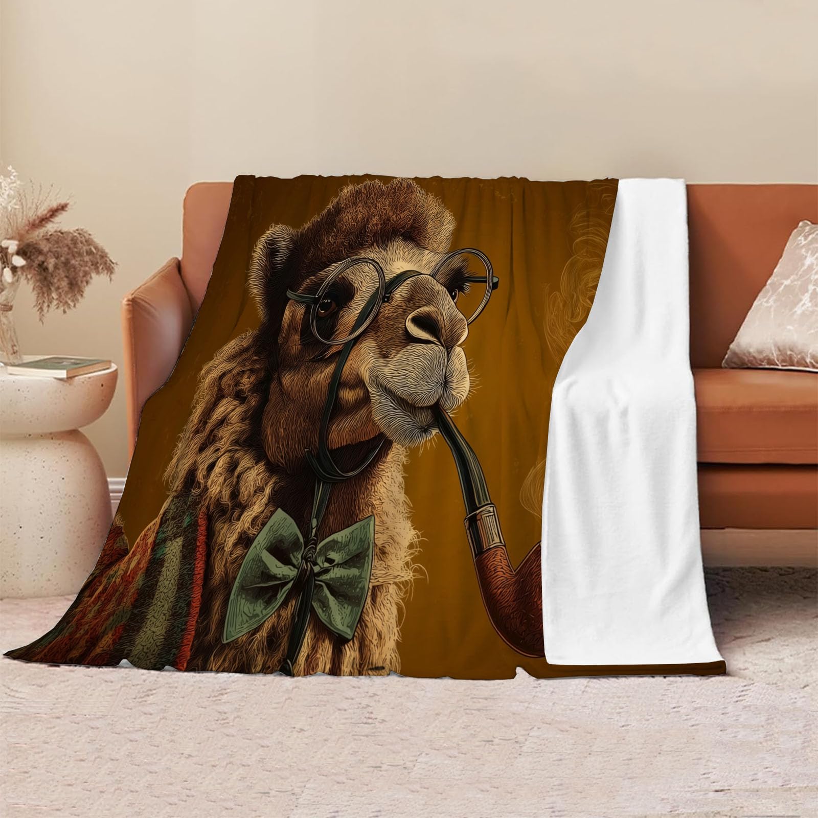 Couverture en flanelle chameau contre le froid du salon 220x240