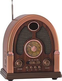 Angju Radios Portable AM FM