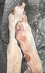 Review Image by Mal