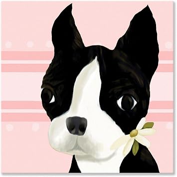 Oopsy daisy bea the boston terrier powder pink stretched canvas wall art by meghann ohara, 10 by 10-inch