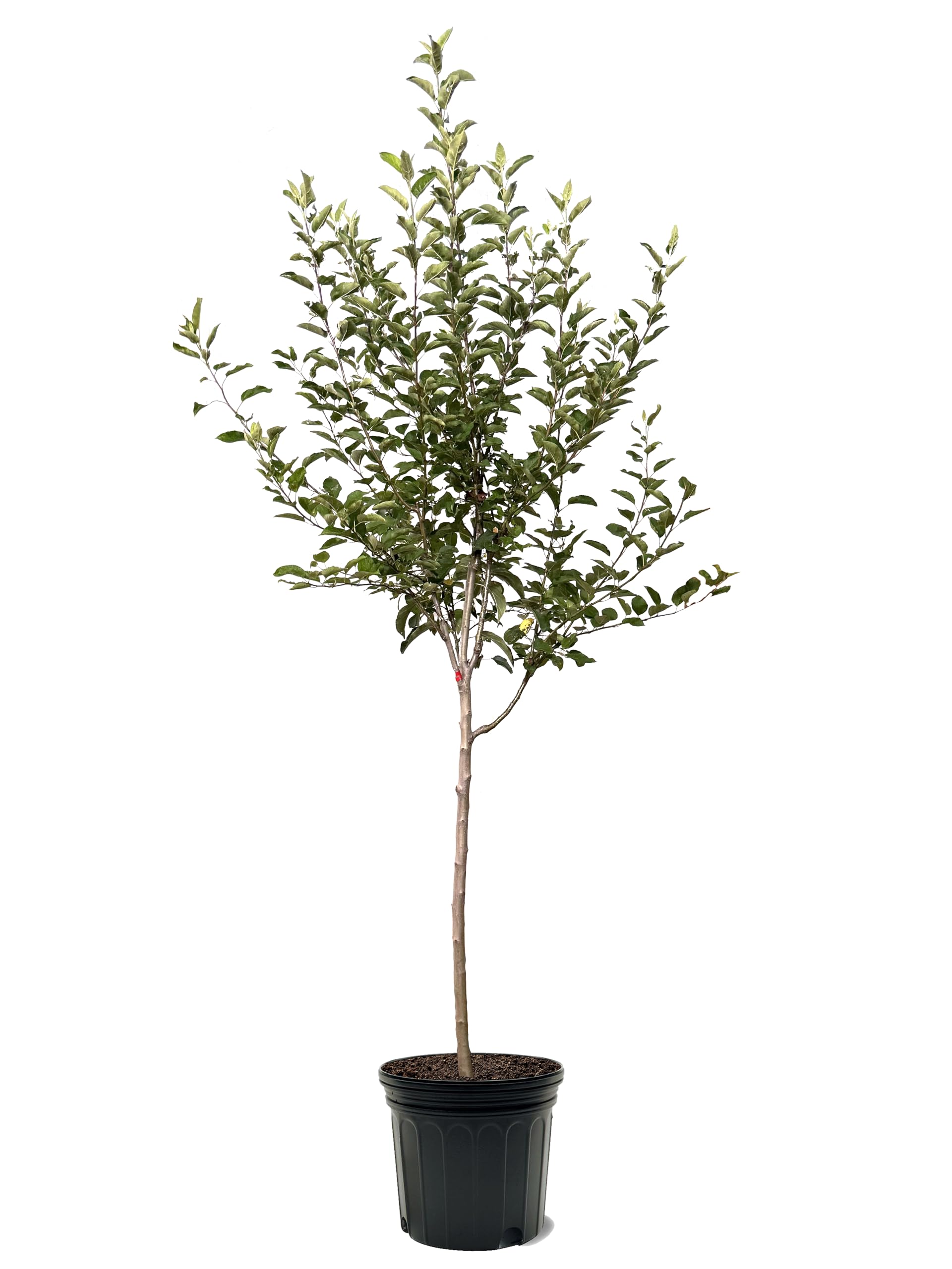 product_img5