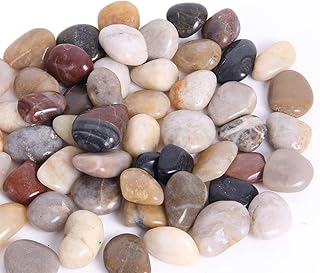 10lbs River Rocks, Plants, Gardens, Landscapes, Vases, Highly Polished Decorative Pebbles, Shapes and Sizes from 1-3" (1 Bag of 10lbs)