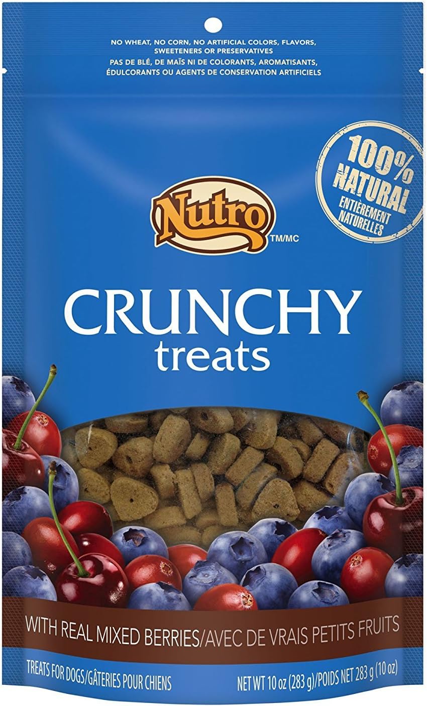Nutro Crunchy Dog Treats with Real Mixed Berries 10oz 2 Pack Pet Supplies