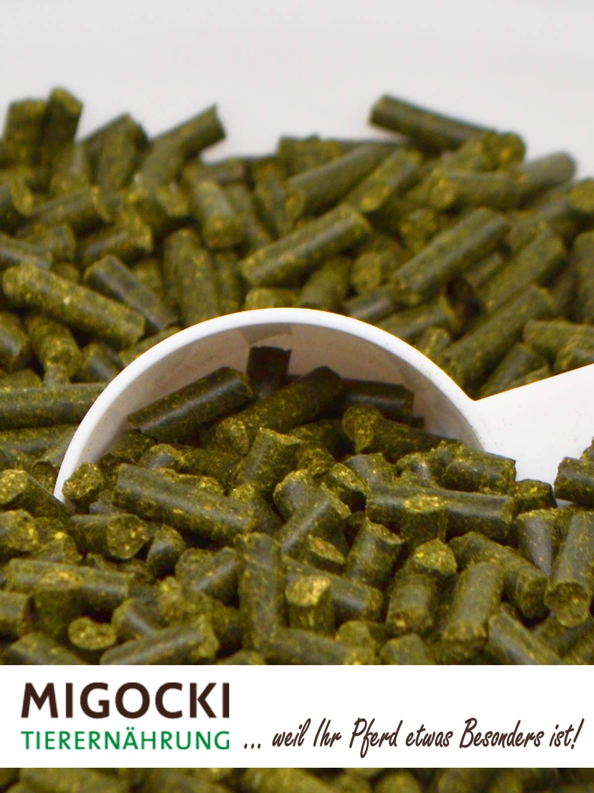 MIGOCKI Brennnessel – 1,5 kg – für Pferde – Reine Kräuter ohne Zusatzstoffe - Pellets