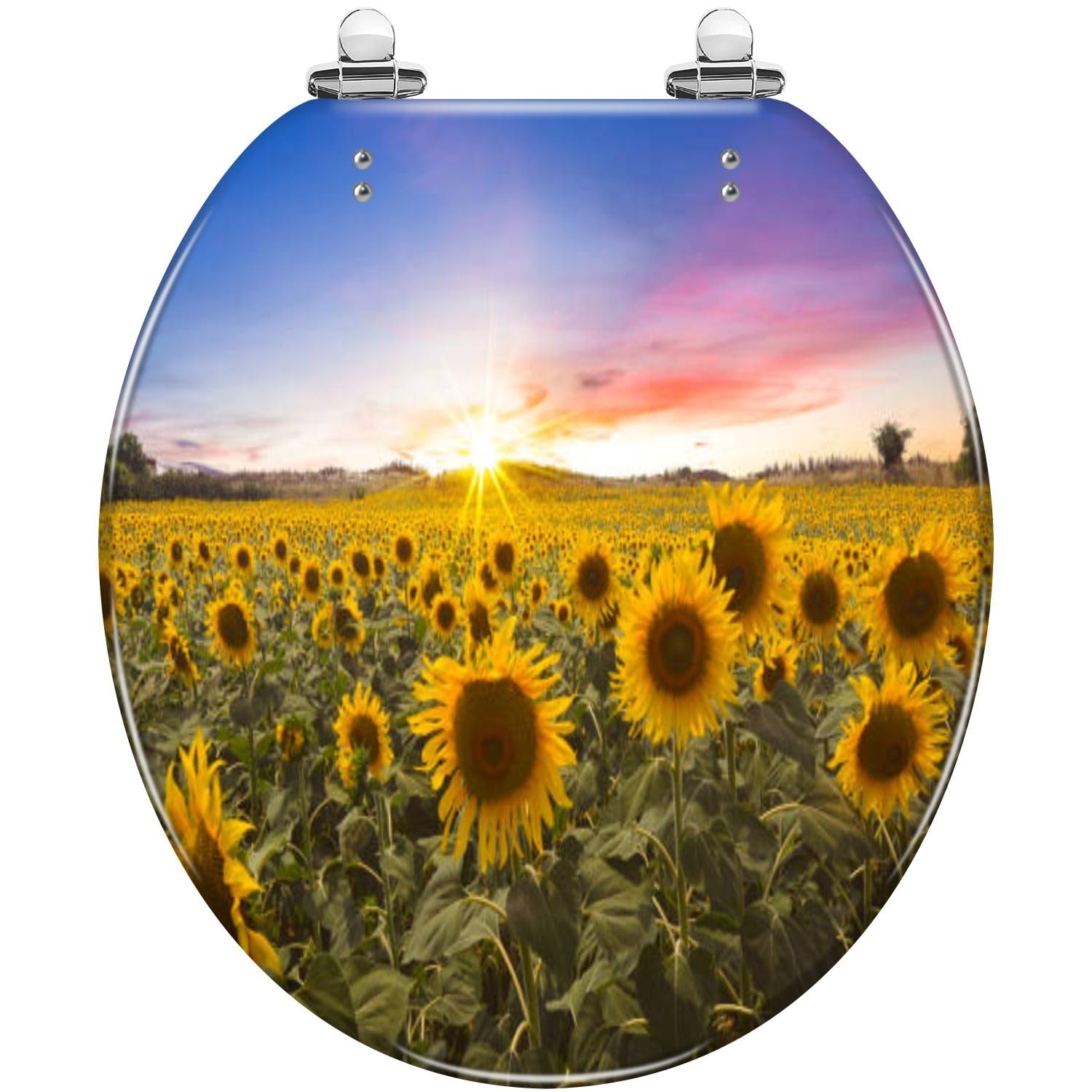 Round Meadow Butterflies Resin Toilet Seat Quiet Slow Close Quick-Release Hinges Easy to Clean(Multi6)