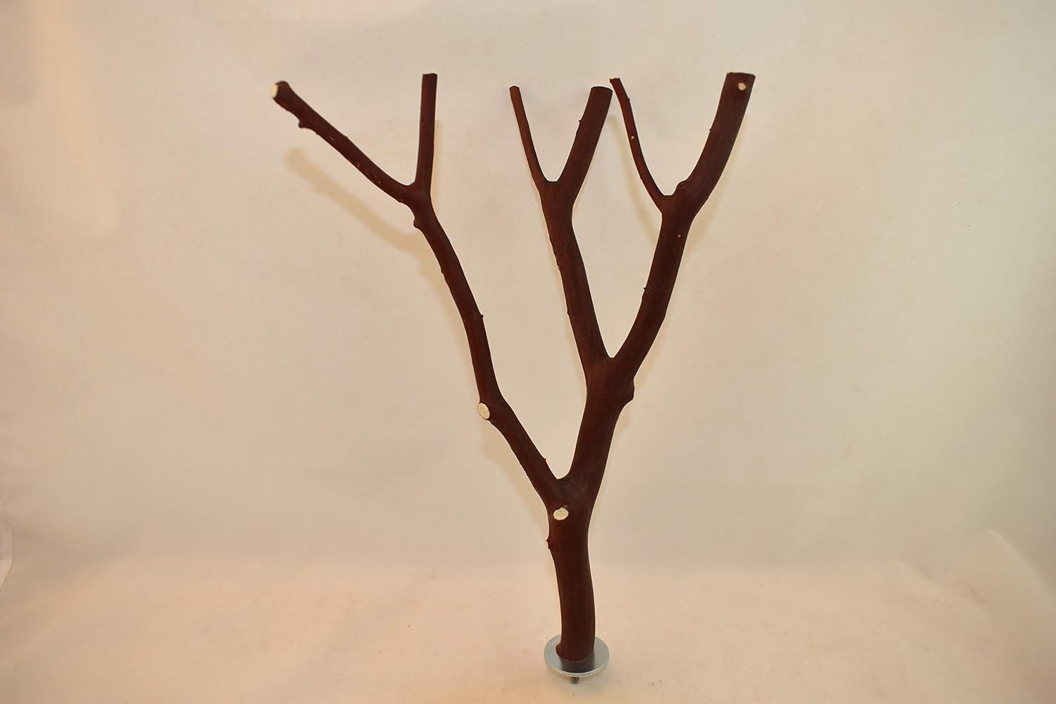 IVVTRYI MAC ' s Creations 小号 Manzanita Perch