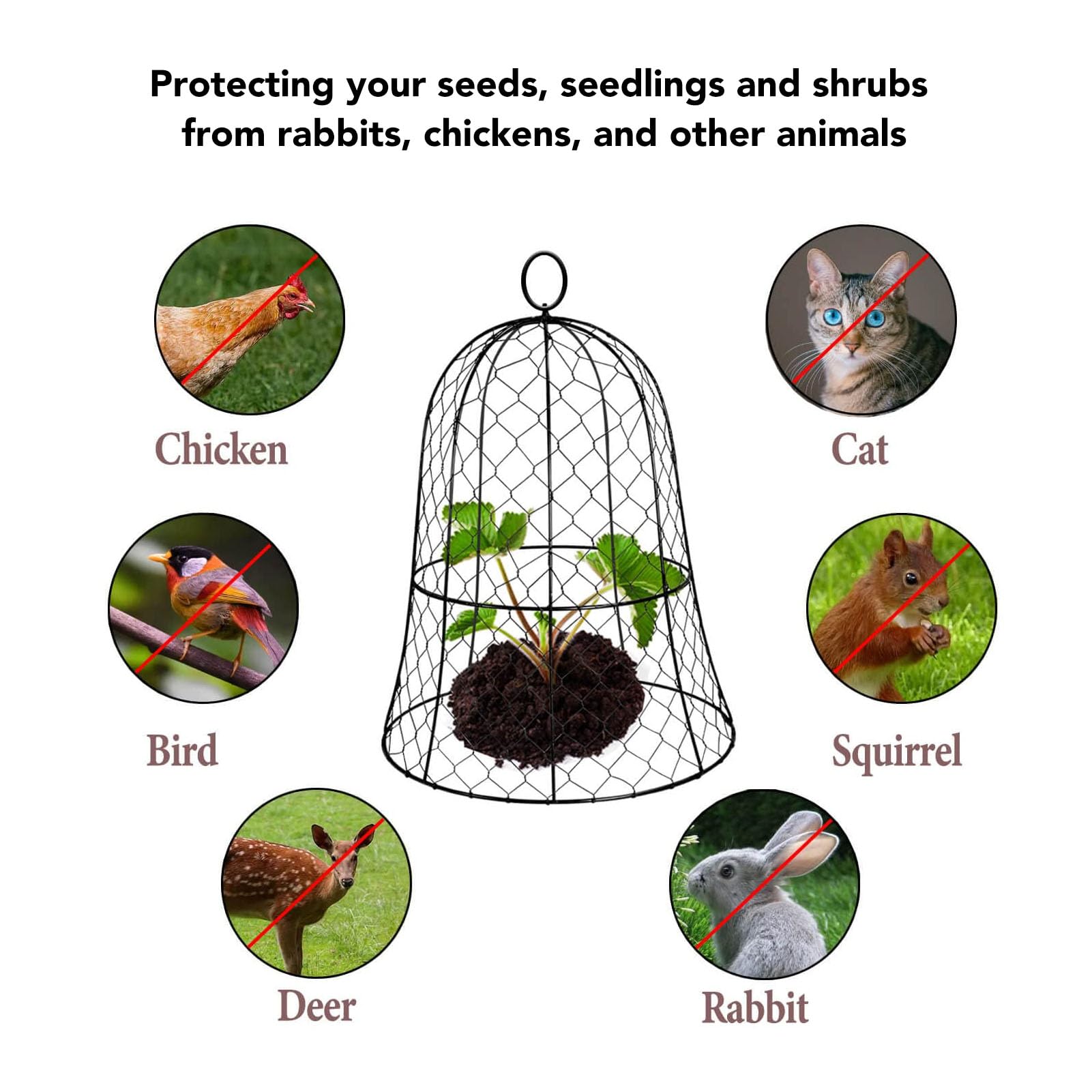 10 Stück Hühnerdraht Glocke Pflanzenschutz, Garten Pflanzenschutzkäfig, Bell Shaped Hühnerdraht Cloche mit Hakenring, Schutz für Ihre Pflanzen und Setzlinge