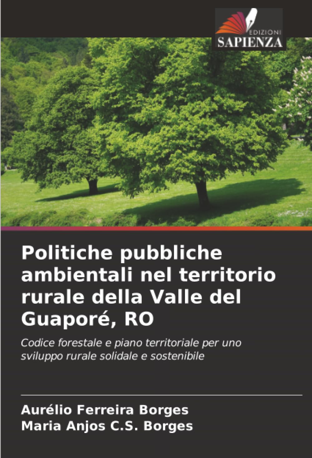 Politiche pubbliche ambientali nel territorio rurale della Valle del Guaporé, RO: Codice forestale e piano territoriale per uno sviluppo rurale solidale e sostenibile