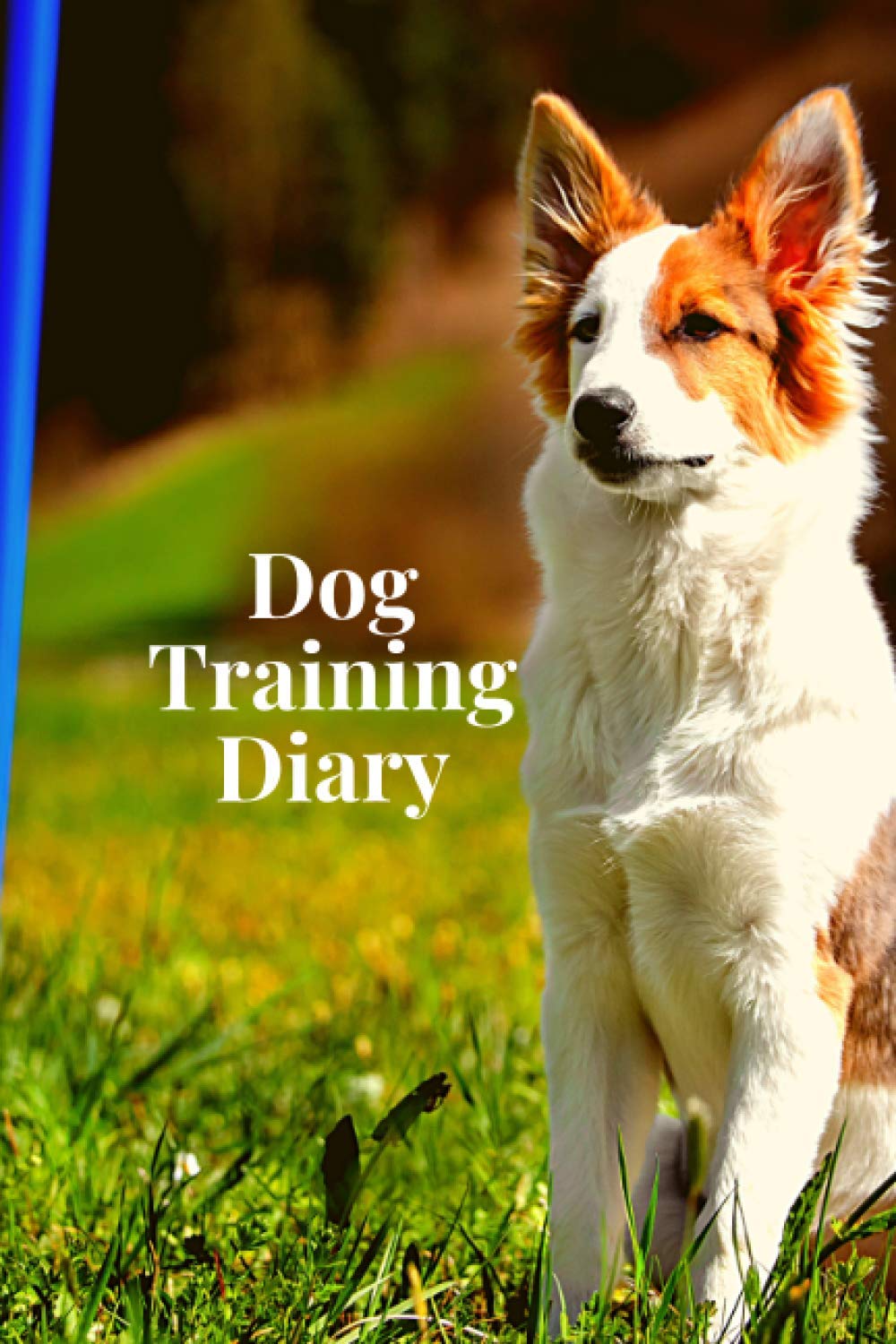 Dog Training Diary: Obedience Training for Dogs, Dog Activity Monitor Notebook