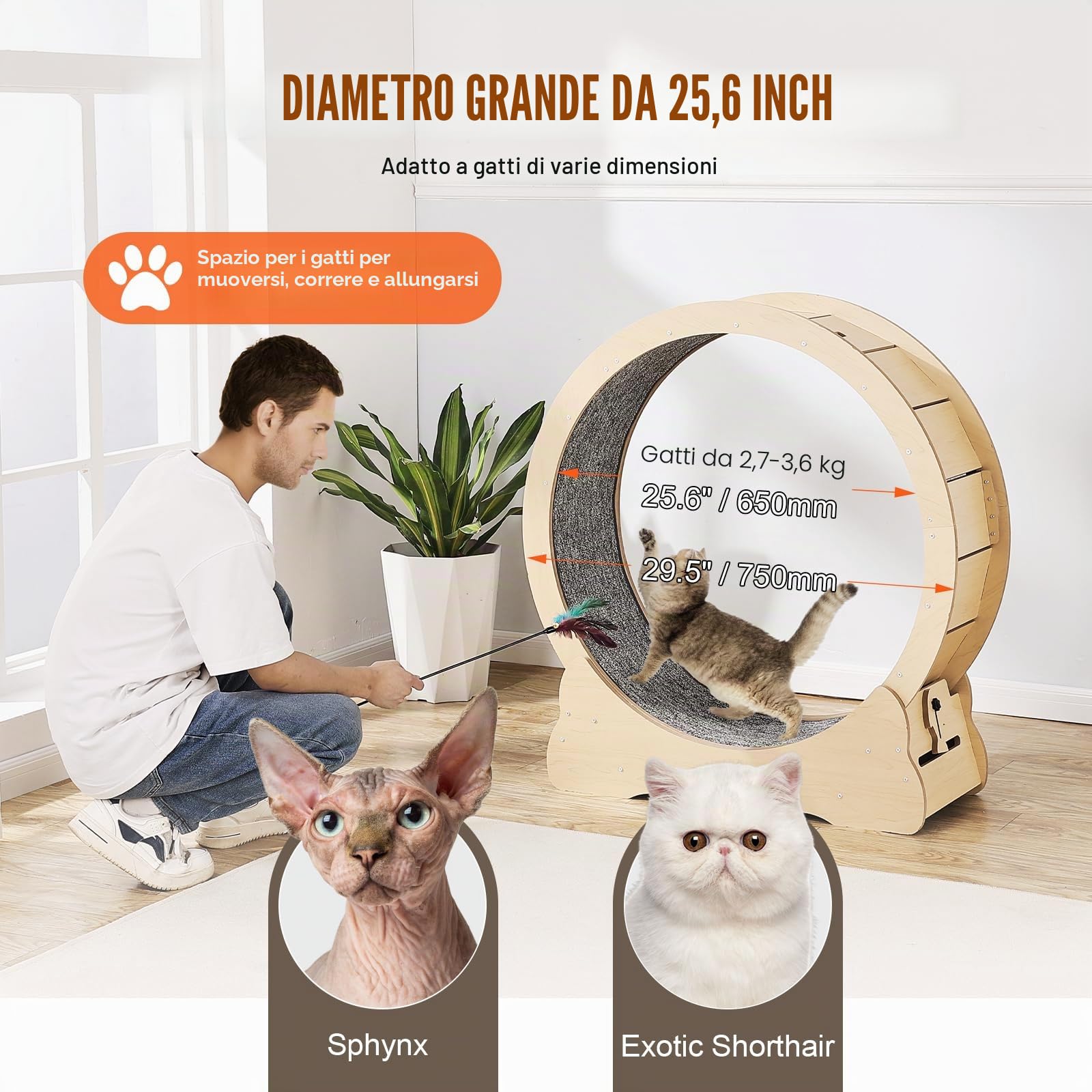 VEVOR Ruota per Esercizi per Gatti in Legno Compensato, Ruota per Tapis Roulant per Gatti 75 cm, Ruota per Corsa con Tappeto Staccabile e Teaser per Maggior Parte Gatti per Corsa Allenamento Interno
