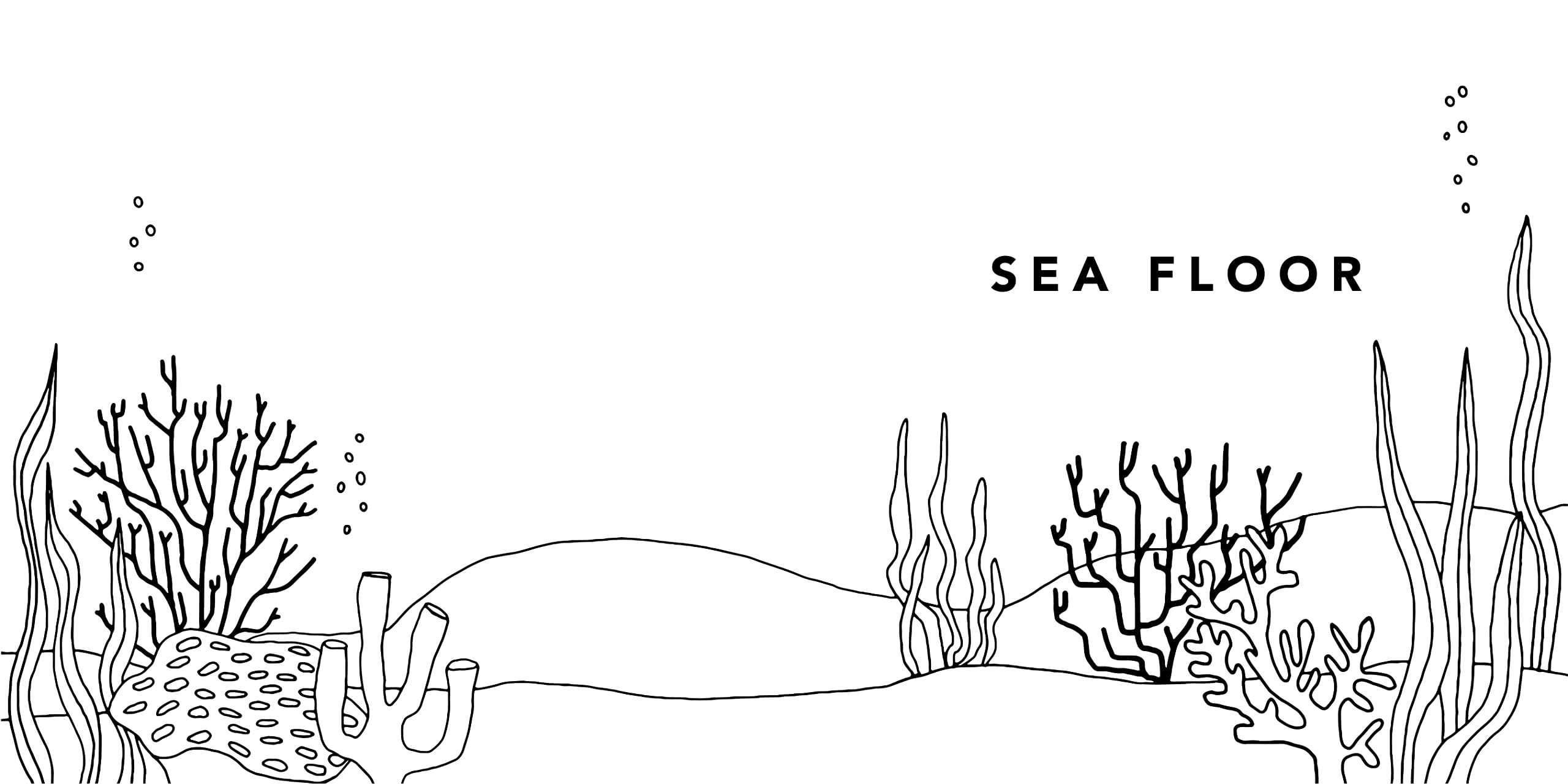 Under the Sea: How to Draw Books for Kids with Dolphins, Mermaids, and Ocean Animals: 5 (How to Draw For Kids Series)