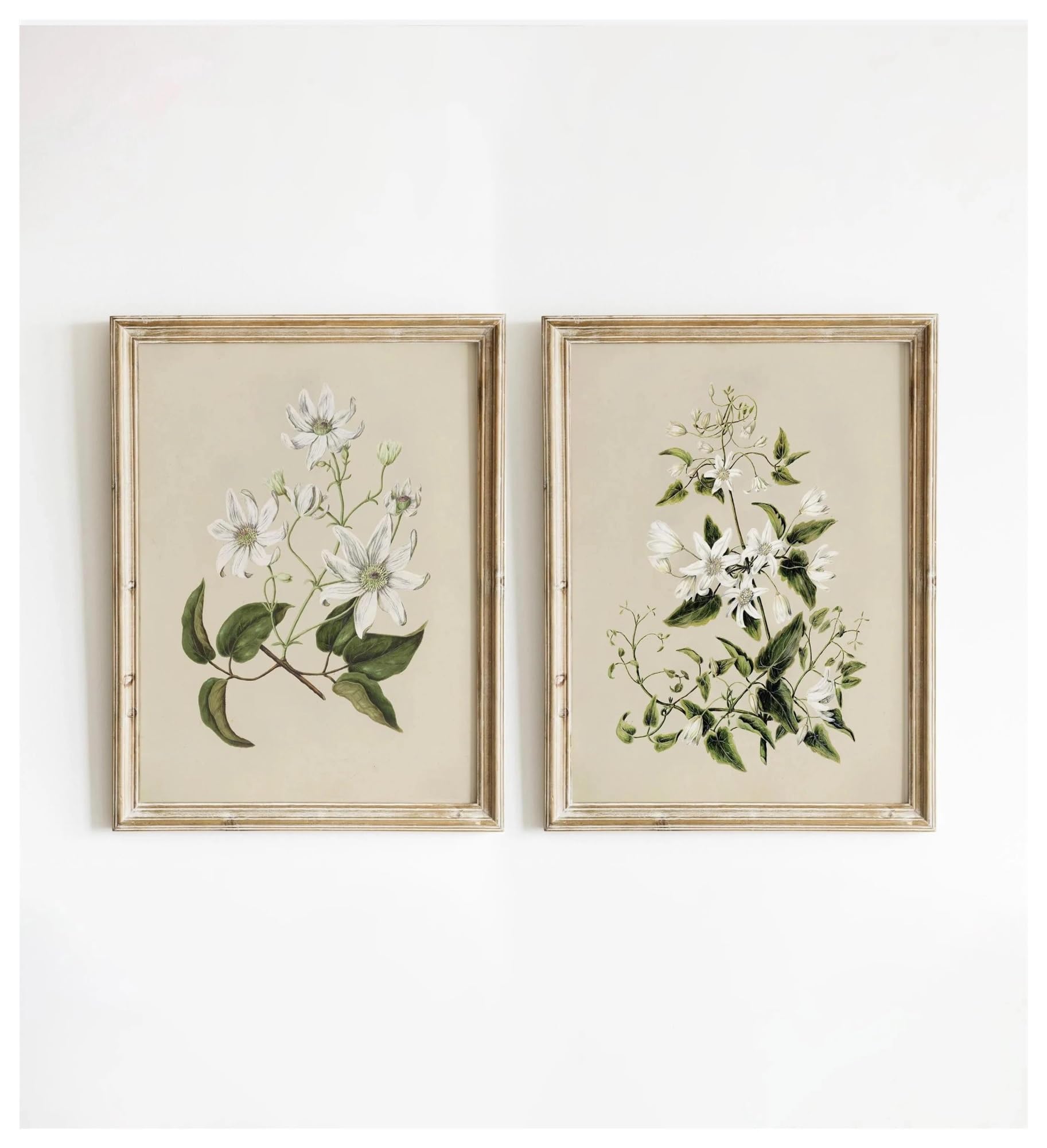 Byambd C Aestheti Pictures 2Pcs Frameless Retro Plant Printing Ottagecore Anvas French Ountry Plant Posters Prints Flower Nursery Wall Art Decor(,30X40cm)