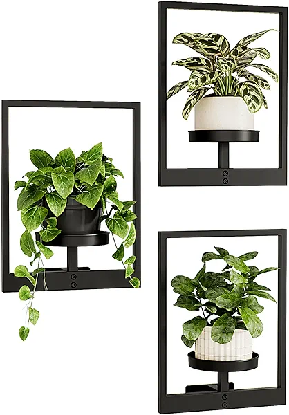 Bamworld Hanging Planters for Indoor Plants Wall Decor Living Room Plant Stand Indoor Wall Planters Plant Hanger Window Plant Shelves 3 Pack for Outdoor Entryway