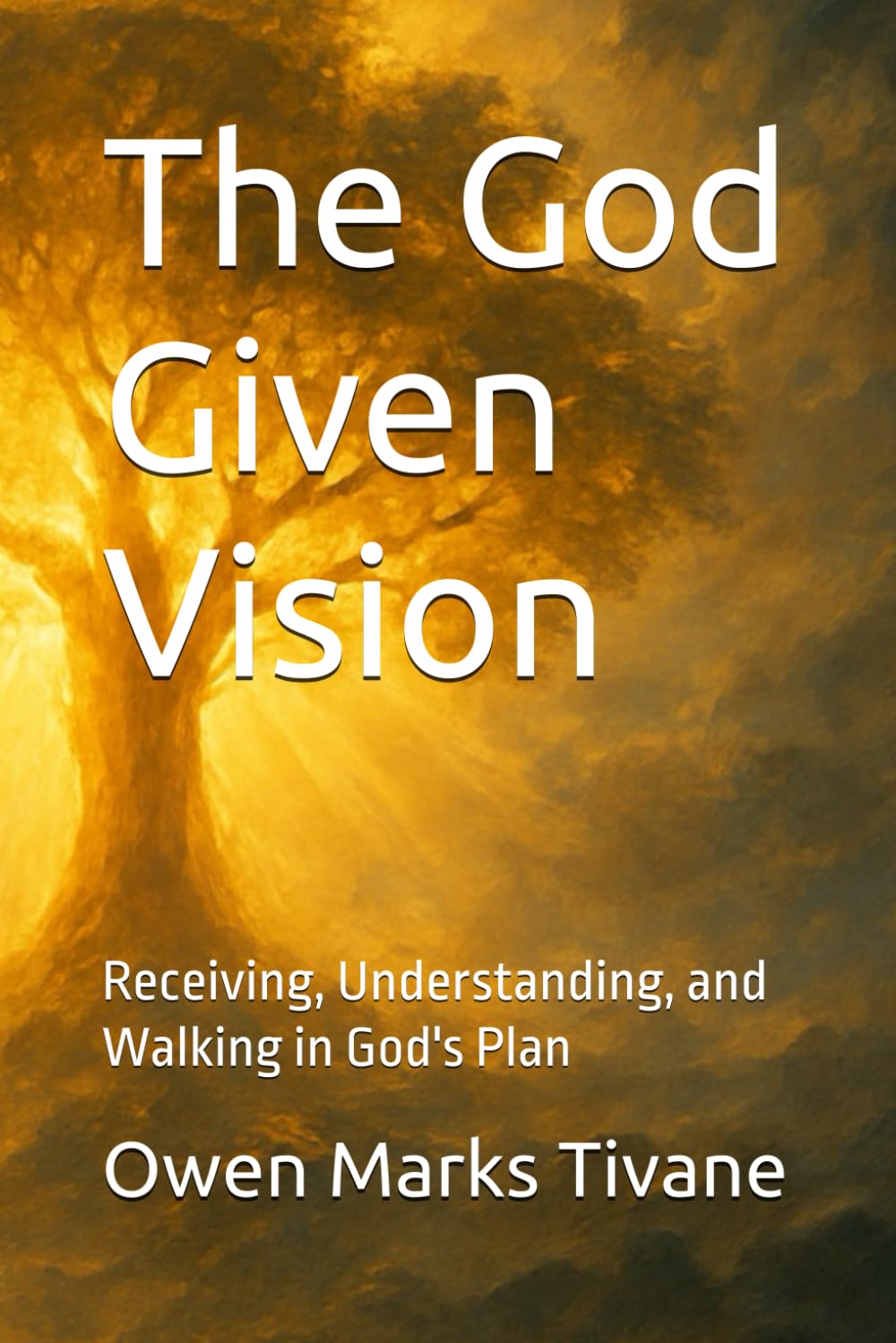 The God Given Vision: Receiving, Understanding, and Walking in God's Plan