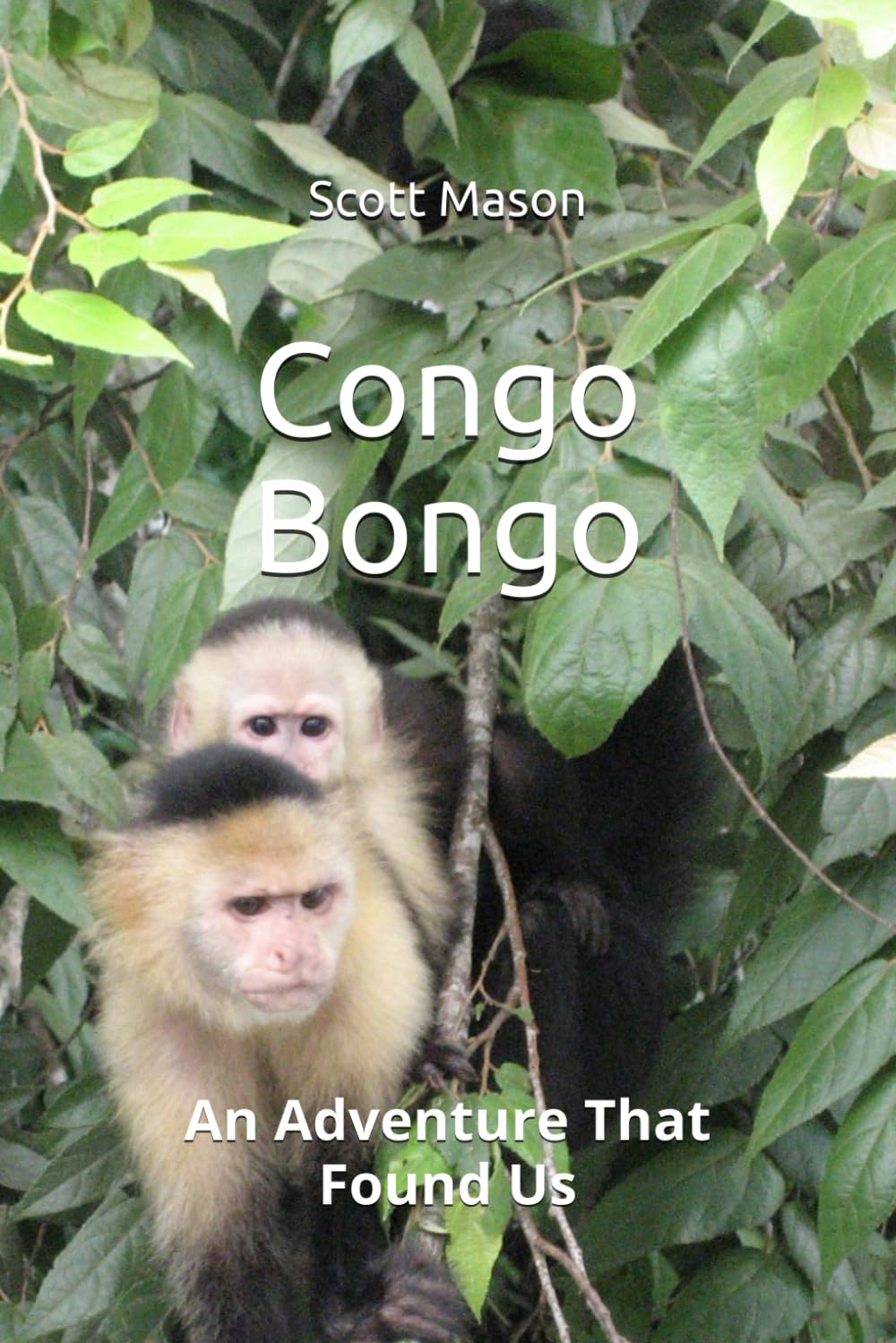 Congo Bongo:: An Adventure That Found Us