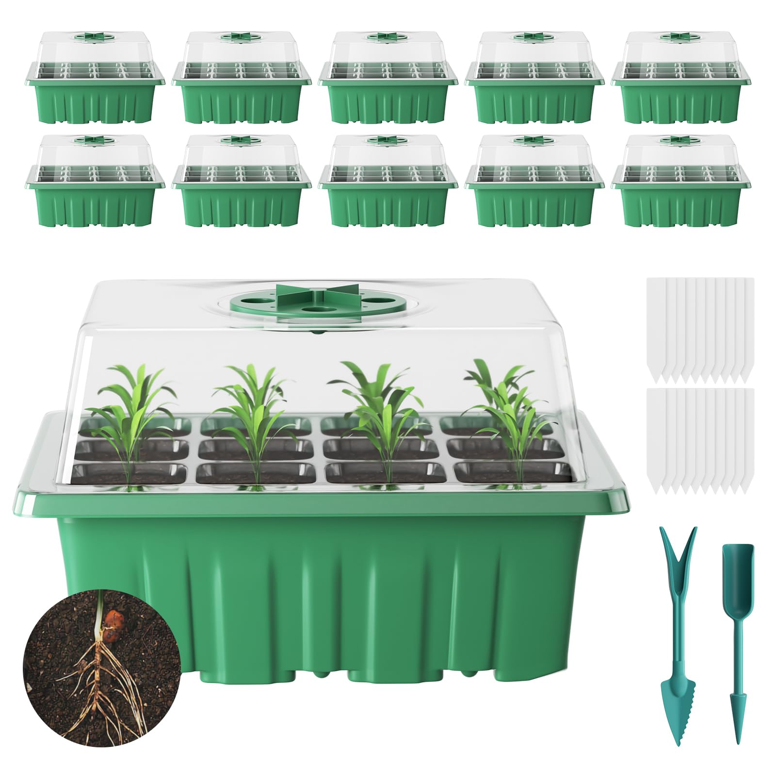 Seed Trays 10 Pack 120 Cells Plant Germination Trays with Lids Propagators for Plants Thicken Propagation Station Seed Box