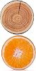 HYSEAS Decorative Round Throw Pillow Stump Plus Round Throw Pillows 14 Inch Orange