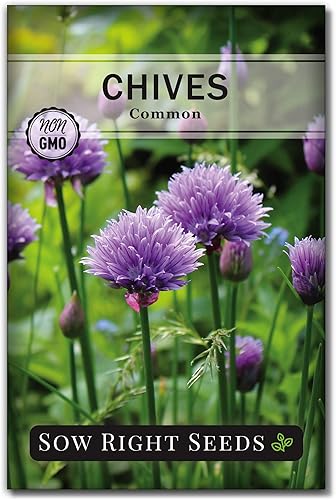Miniatura 4 de Sow Right Seeds - Colección de semillas de verduras de primavera para plantar - Paquetes individuales de cebollino, brócoli, zanahoria, cebolla,