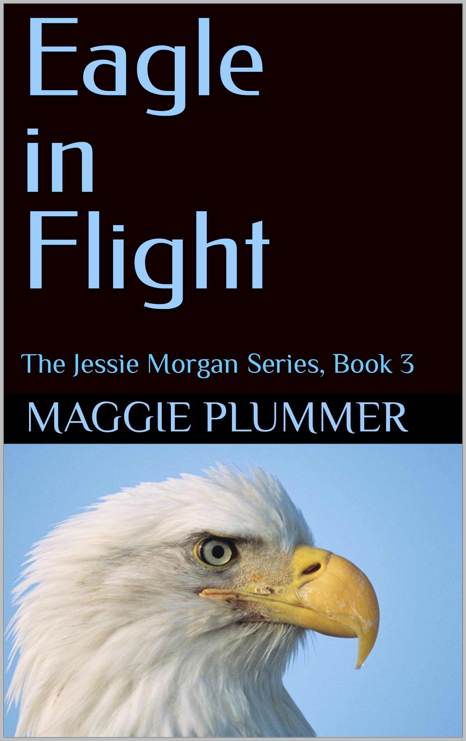 Eagle in Flight : The Jessie Morgan Series, Book 3