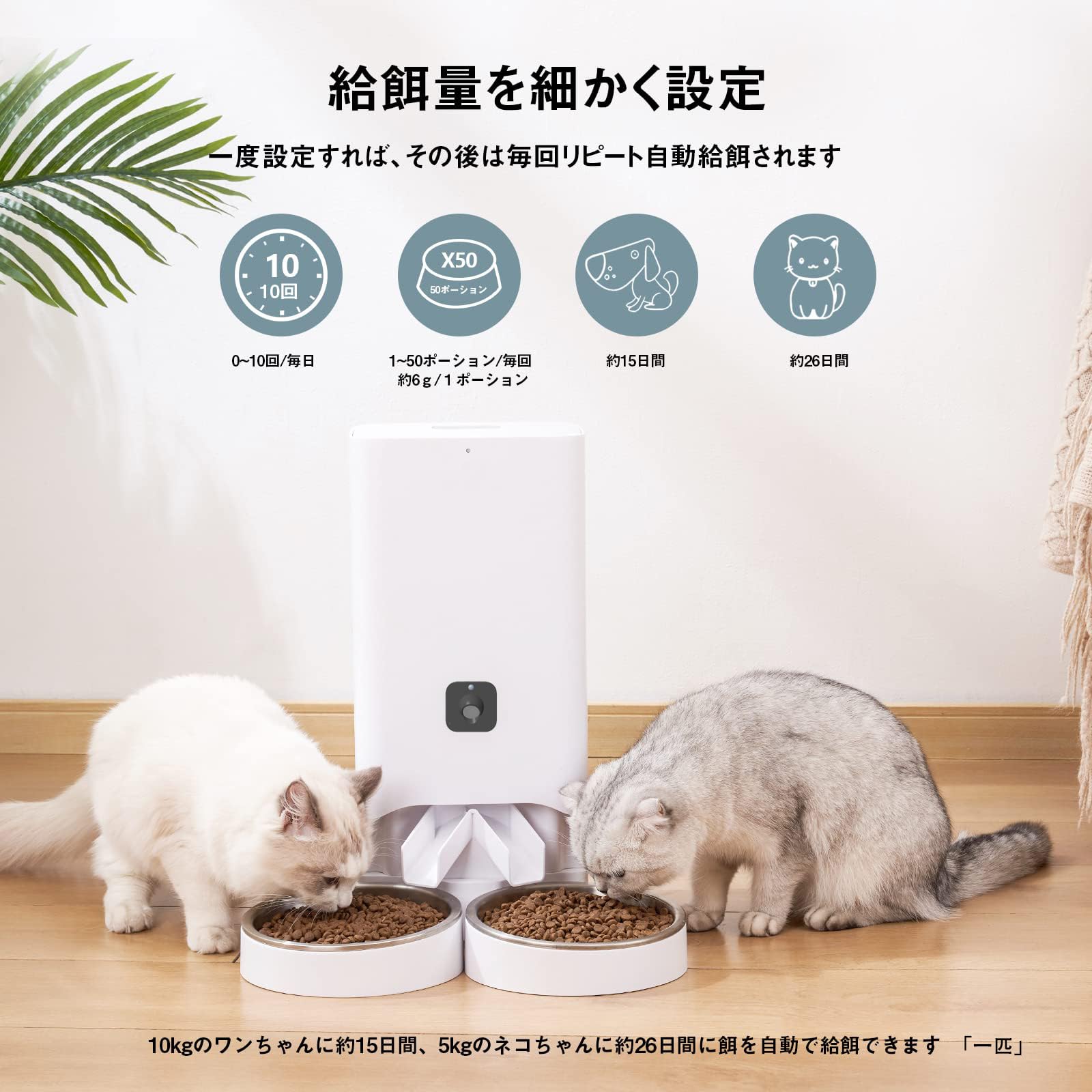 Amazon | 【スマホでライブ監視可能】自動給餌器 猫 中小型犬用 カメラ