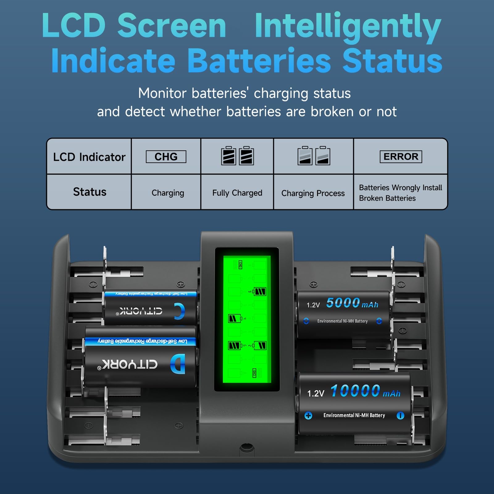 CITYORK Cargador de batería Universal LCD de 16 bahías para batería Recargable doméstica Ni-MH Ni-CD de 1,2 V C D AA AAA, Carga rápida