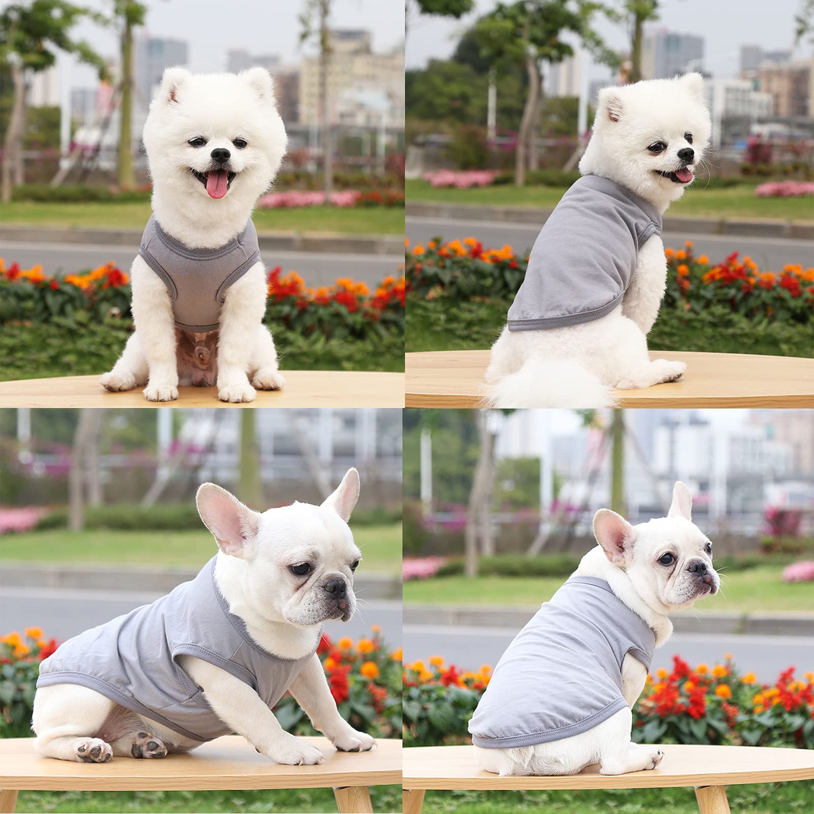 Luxemburger Hunde-Shirt Aus Baumwolle - Weich & Atmungsaktiv Für Kleine Hunde & Katzen