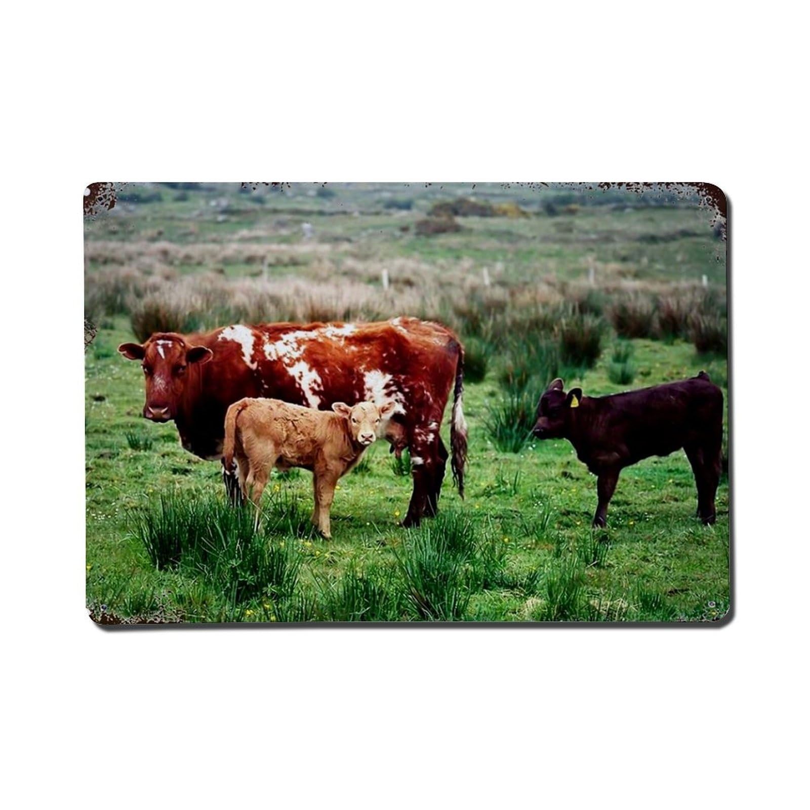 Nestemfo Vintage Cows Grazing In Green Field Tin Sign Metal Sign, Living Room,Bar, Home, Bedroom Wall Decor,Retro Metal Poster 8X12 Inches