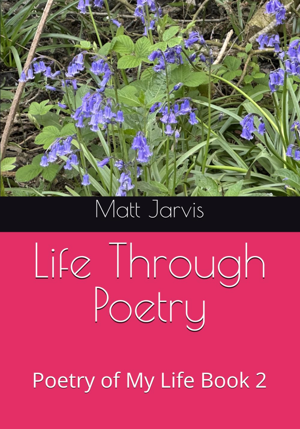 Life Through Poetry: Poetry of My Life Book 2