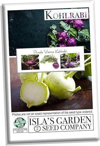 Miniatura 7 de Semillas de colinabo de Viena púrpura, más de 300 semillas de reliquia por paquete, semillas de jardín de Isla (semillas de jardín de Isla),