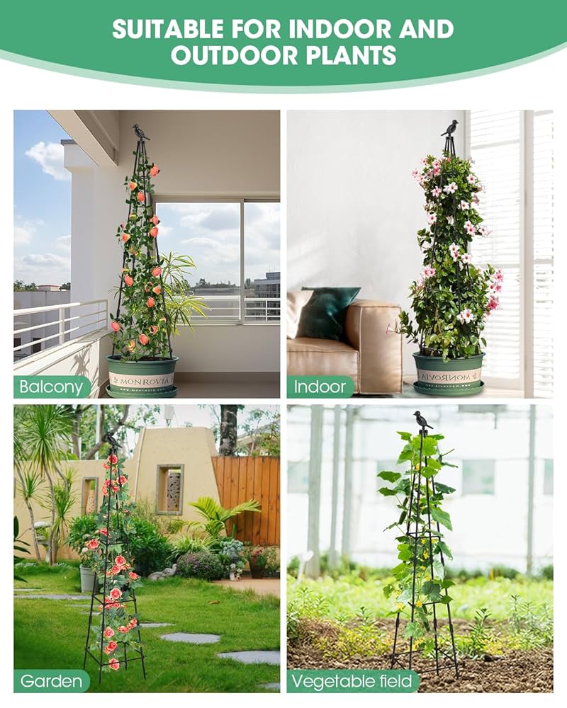 棘.PLANTS Anthurium Zara '29' x DocBlock Zara '3' by DocBlock® *Fused