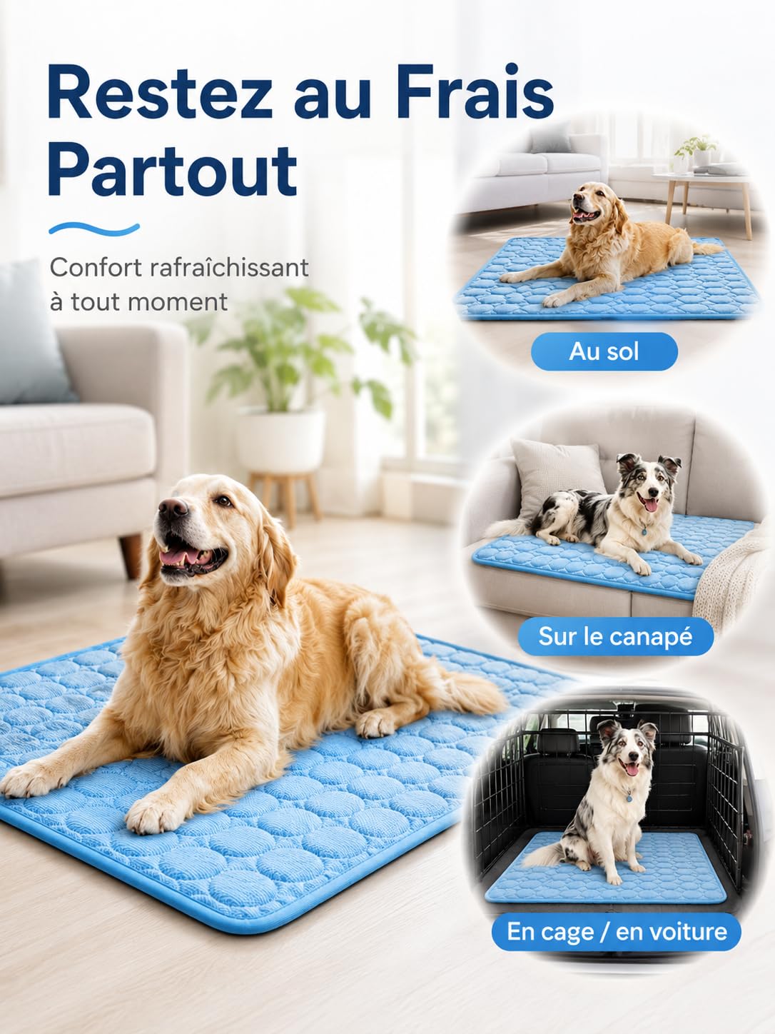 Tappetino Refrigerante Cane, Tappeto Rinfrescante per Cani Gatti (Bleu, XL)