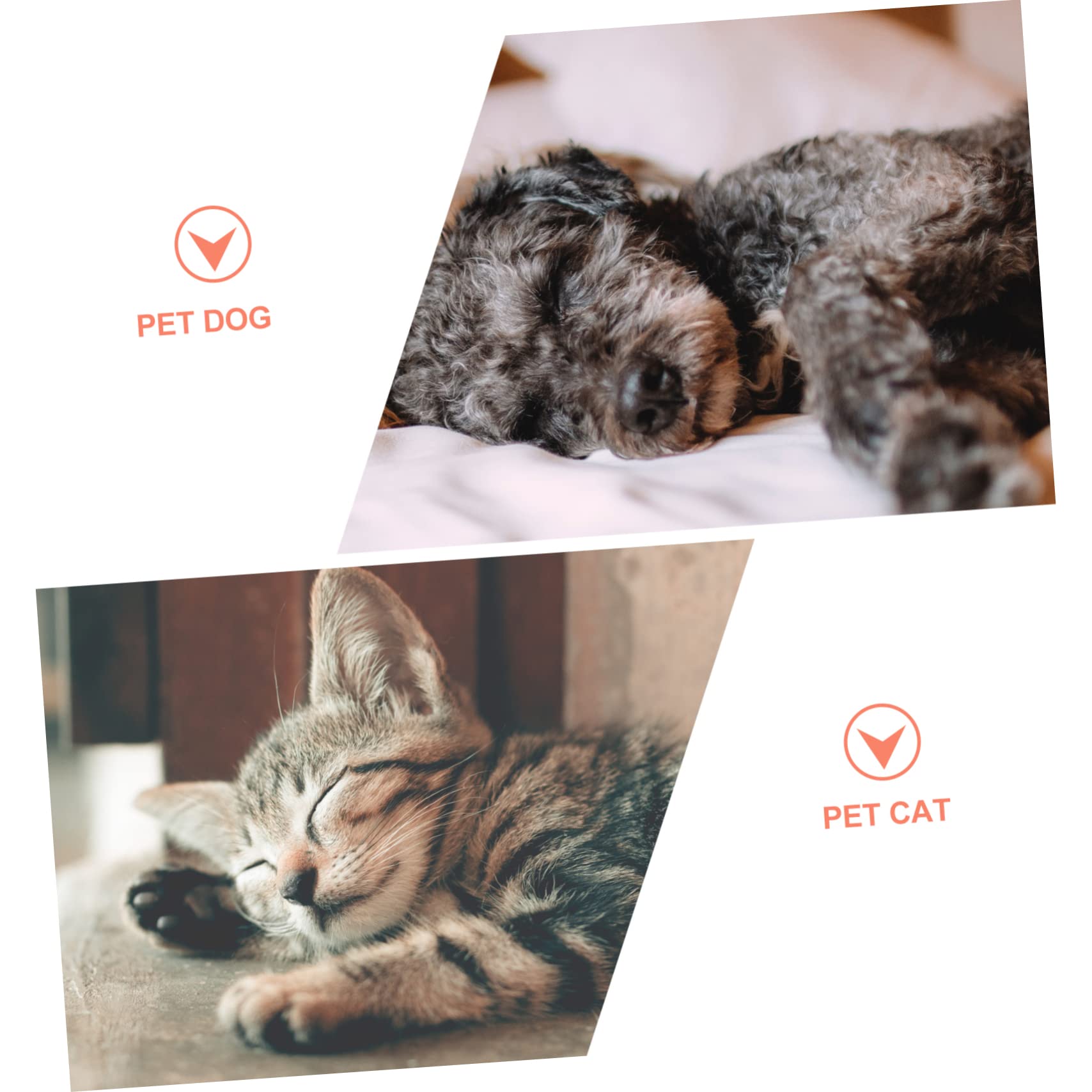 FRCOLOR 2 Bebederos Automáticos para Perros Y Gatos Dispensador De Agua para Mascotas Suministros para El Hogar.