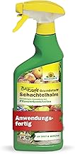 Neudorff BioKraft Basic Material Horsetail - Ready-to-Use Spray Against Fungal Diseases on Fruit and Vegetables, 100% Natural Ingredients, 500 ml